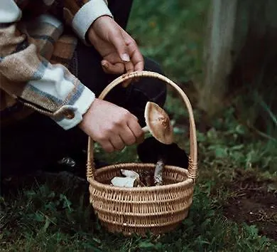 Siedlisko Milachowo Nad Rzeka - Luxury Wellness Oasis Adults Only Hotel