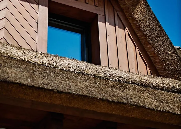 Siedlisko Milachowo nad rzeką - luxury wellness oasis Adults only * Rolbik