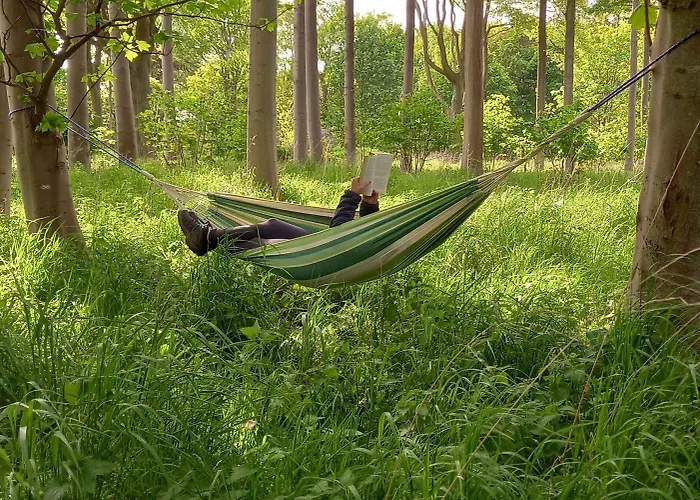 Hotel Siedlisko Milachowo nad rzeką - luxury wellness oasis Adults only *