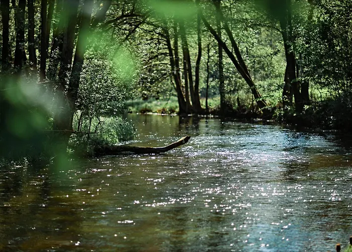 Hotel Siedlisko Milachowo nad rzeką - luxury wellness oasis Adults only *